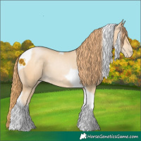 Horse Color:Buckskin Pearl Tobiano