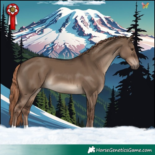 Horse Color:Liver Red Dun 
