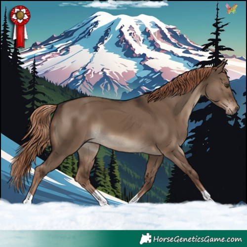 Horse Color:Liver Red Dun