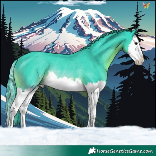 Horse Color:Watercolor Black Splash Rabicano 