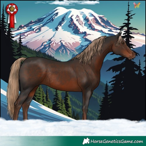 Horse Color:Liver Chestnut Rabicano 
