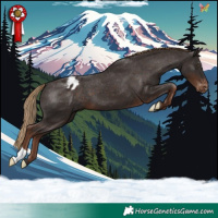 Horse Color:Liver Chestnut Varnish 