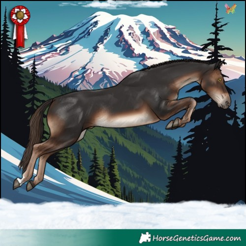 Horse Color:Liver Chestnut Rabicano 