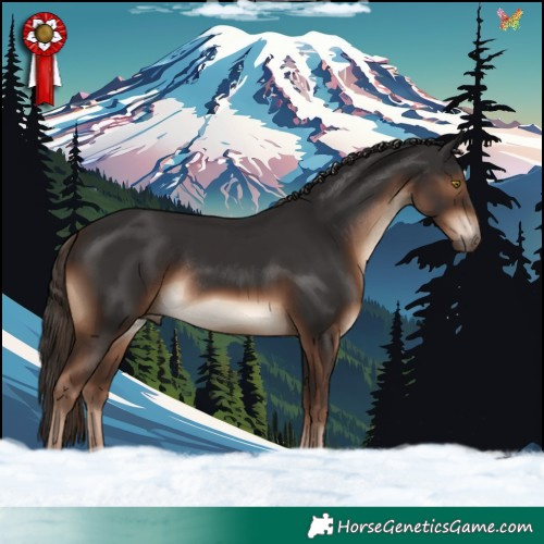 Horse Color:Liver Chestnut Rabicano