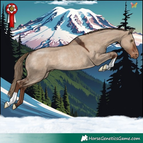 Horse Color:Liver Red Dun Appaloosa Rabicano 