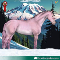 Horse Color:Watercolor Gold Champagne Dun Rabicano