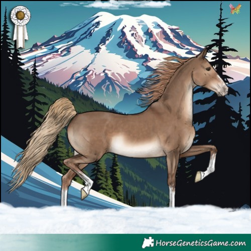 Horse Color:Liver Red Dun 
