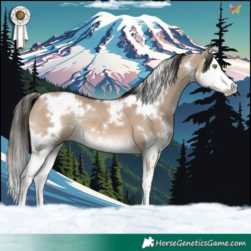 Horse Color:White Spotted Liver Red Dun Splash 