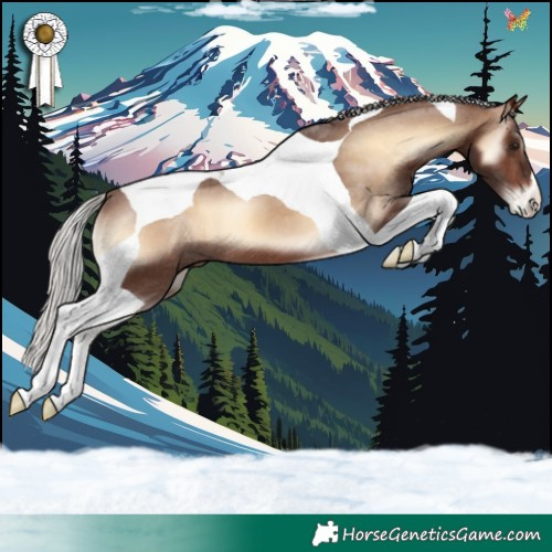 Horse Color:Silver Brown Onyx Tobiano Appaloosa 