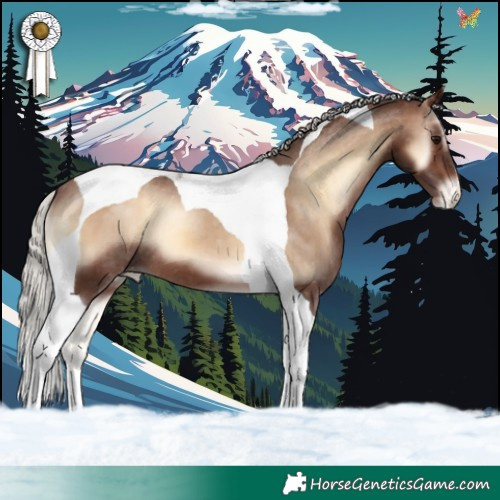 Horse Color:Silver Brown Onyx Tobiano Appaloosa 