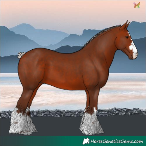 Horse Color:Silver Bay 