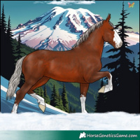 Horse Color:Silver Bay