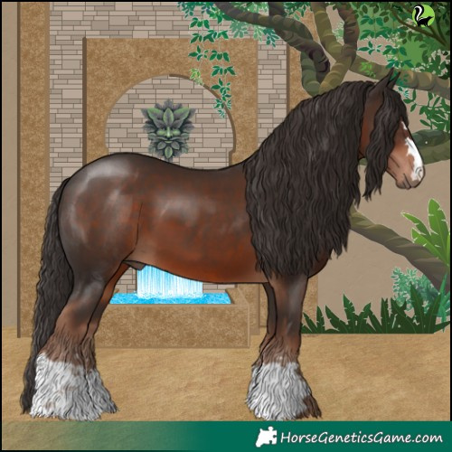 Horse Color:Liver Chestnut 