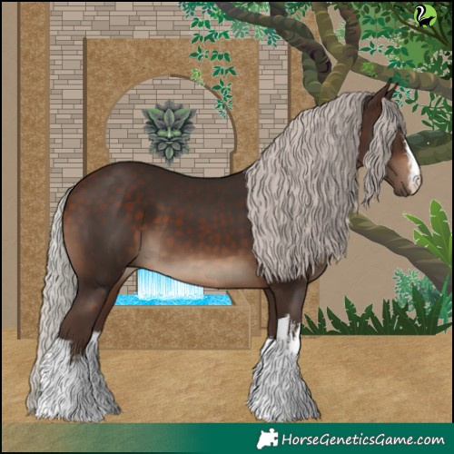 Horse Color:White Spotted Silver Bay 