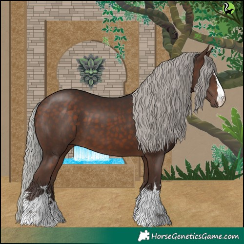 Horse Color:Silver Brown 