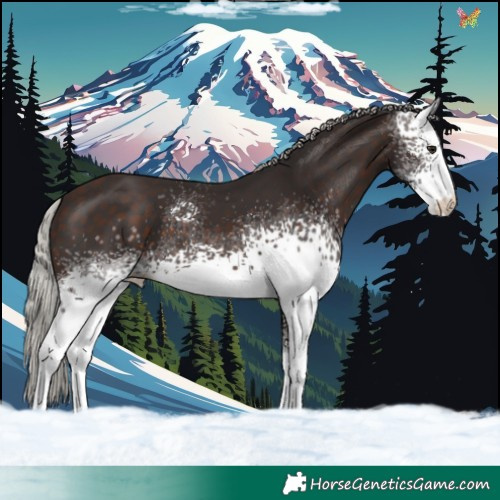 Horse Color:White Spotted Silver Brown 