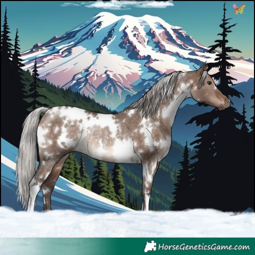 Horse Color:White Spotted Silver Brown Dun Mushroom Rabicano 