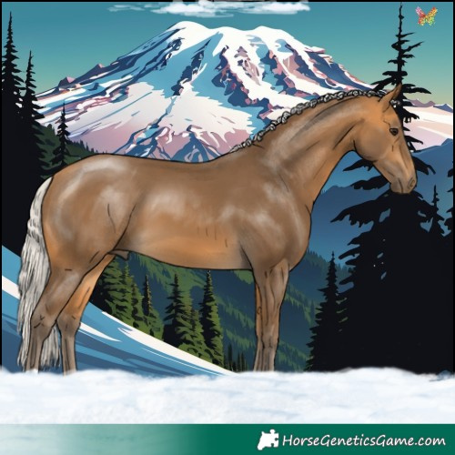 Horse Color:Silver Buckskin 