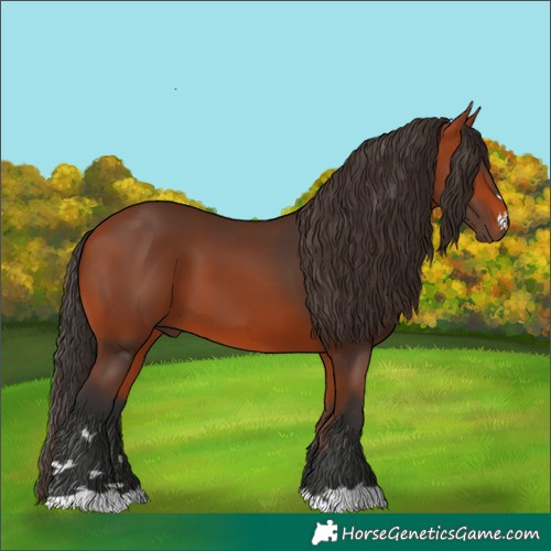 Horse Color:Unknown 