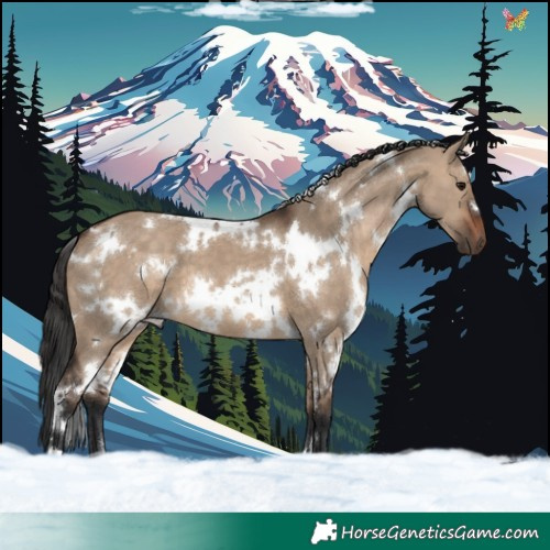 Horse Color:White Spotted Brown Dun 
