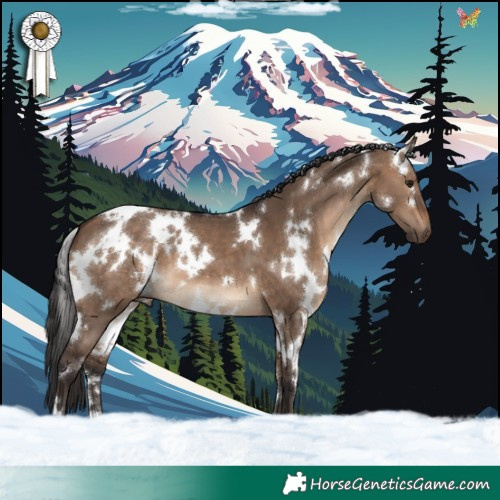 Horse Color:White Spotted Brown Dun 