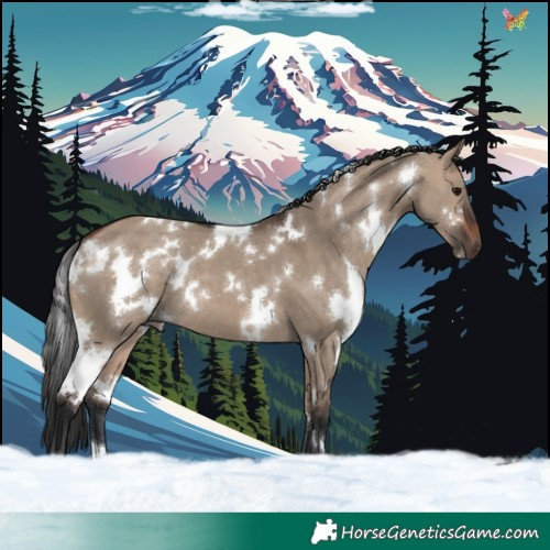 Horse Color:White Spotted Brown Dun 