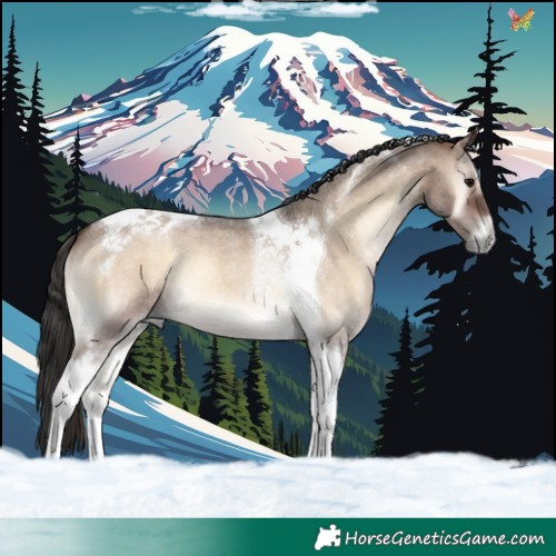 Horse Color:Brown Roan Onyx Tobiano 