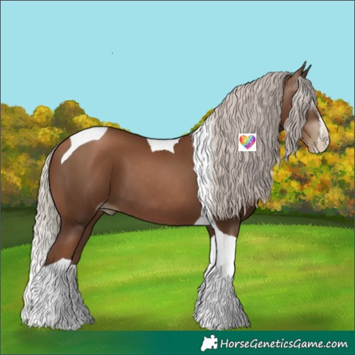 Horse Color:Gray Silver Black Pearl Splash Tobiano 