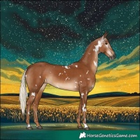 Horse Color:Gray White Spotted Chestnut Mushroom Rabicano
