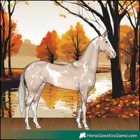Horse Color:White Spotted Red Dun Mushroom Splash