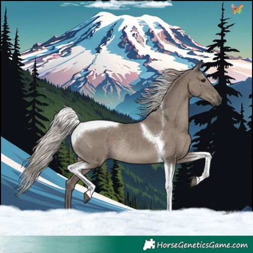 Horse Color:Silver Grullo Tobiano Rabicano 