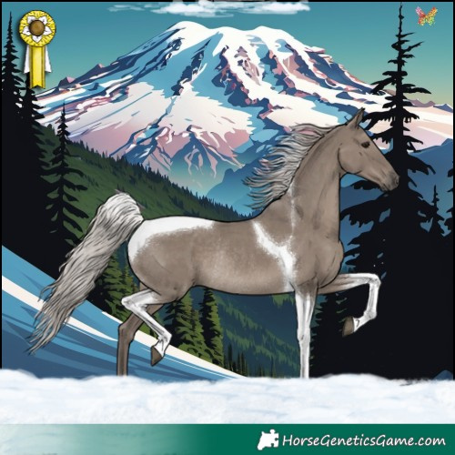 Horse Color:Silver Grullo Tobiano Rabicano