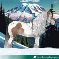 Horse Color:Classic Champagne Tobiano