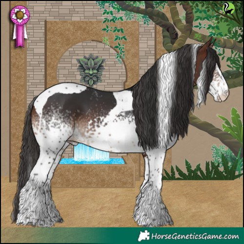 Horse Color:White Spotted Brown Tobiano 