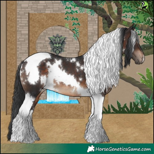Horse Color:White Spotted Brown Tobiano 