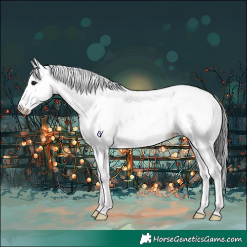 Horse Color:White Spotted Black 