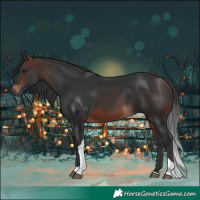 Horse Color:Brown Tobiano