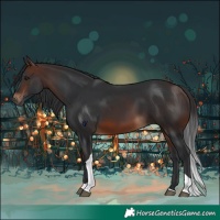 Horse Color:Brown Tobiano 