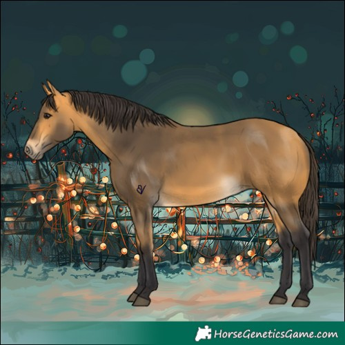 Horse Color:Buckskin 