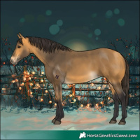 Horse Color:Buckskin