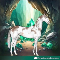 Horse Color:White Spotted Liver Chestnut Mushroom Splash