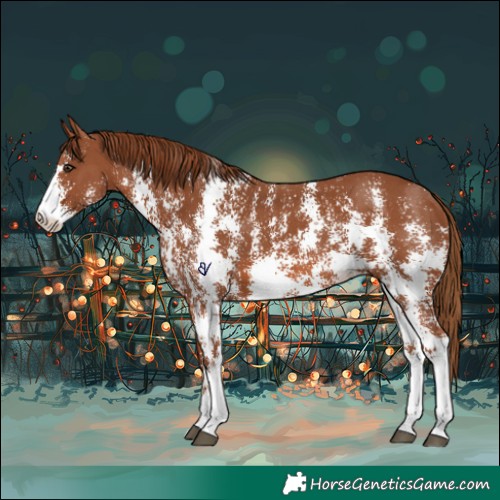 Horse Color:Chestnut Sabino 