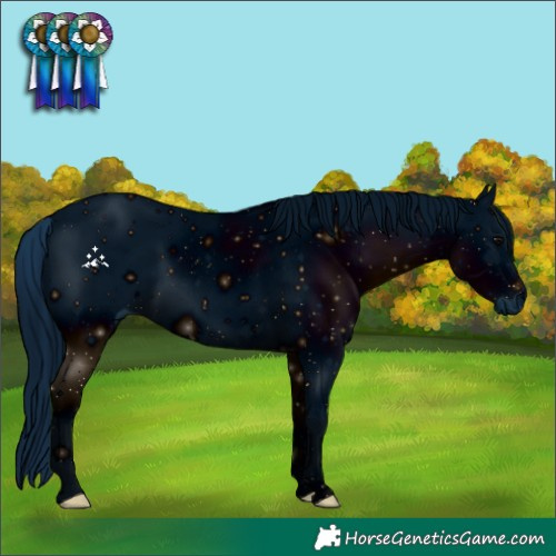 Horse Color:ERROR: UNKNOWN ANOMALY