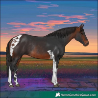 Horse Color:Bay Tobiano Rabicano