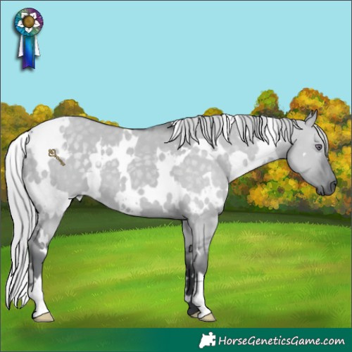 Horse Color:White Spotted Silver Grullo Chinchilla 