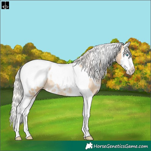 Horse Color:White Spotted Silver Smoky Black Pearl Splash Tobiano Appaloosa 