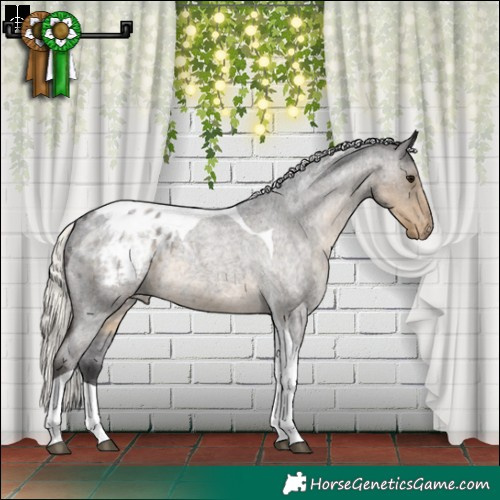 Horse Color:Silver Smoky Blue Roan Tobiano Blanket 