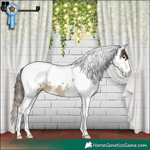 Horse Color:White Spotted Brown Dun Splash Tobiano Blanket 