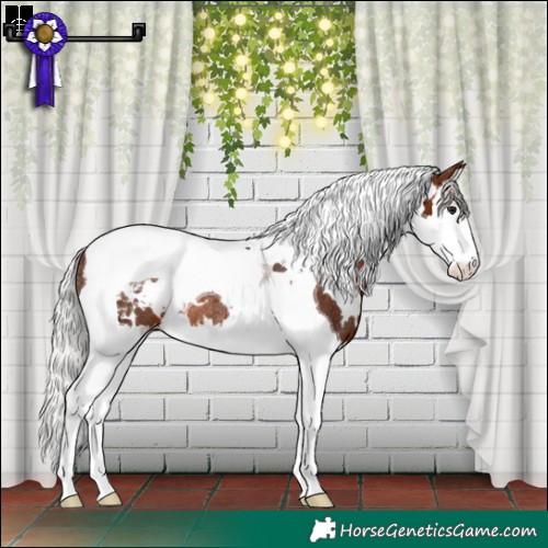 Horse Color:White Spotted Silver Brown Splash Tobiano Appaloosa Rabicano 