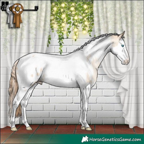 Horse Color:White Spotted Buckskin Pearl Dun Splash Tobiano Blanket Rabicano 